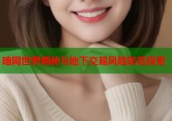 暗网世界揭秘与地下交易风险防范探索