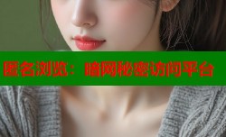 匿名浏览：暗网秘密访问平台