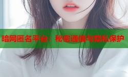 暗网匿名平台：秘密通信与隐私保护