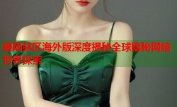 暗网禁区海外版深度揭秘全球隐秘网络世界探索