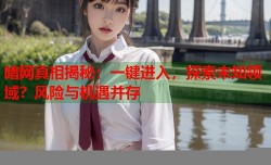 暗网真相揭秘：一键进入，探索未知领域？风险与机遇并存