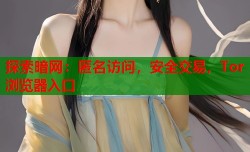 探索暗网：匿名访问，安全交易，Tor浏览器入口