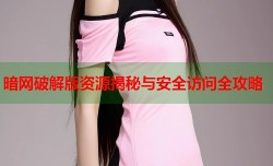 暗网破解版资源揭秘与安全访问全攻略