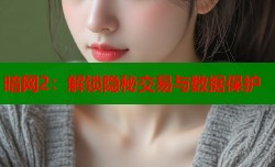 暗网2：解锁隐秘交易与数据保护