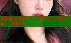 暗网禁区免费APP：探索未知，匿名访问，一键直达