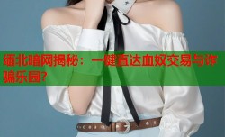 缅北暗网揭秘：一键直达血奴交易与诈骗乐园？