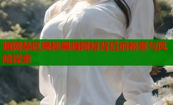 暗网禁区揭秘黑暗网络背后的秘密与风险探索