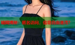 暗网揭秘：匿名访问，信息自由港湾？