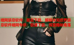 暗网禁忌软件：匿名下载，解锁未知世界禁忌软件暗网专供：极速下载，探索隐秘角落