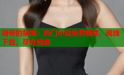 暗帝的禁宠：热门小说免费畅读，离线下载，尽在网盘