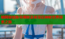 暗网禁地账号揭秘及其背后神秘世界探索之旅