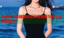 黄软件下载暗网禁区深度揭秘与安全使用指南(2)