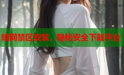 暗网禁区安装，隐秘安全下载平台