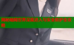 揭秘暗网世界深度进入与安全防护全攻略
