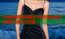 91暗网猎奇资源聚合平台探索神秘深网精彩内容尽在掌握