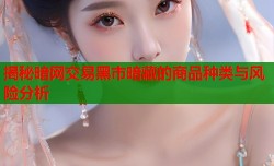 揭秘暗网交易黑市暗藏的商品种类与风险分析