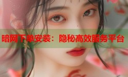 暗网下单安装：隐秘高效服务平台