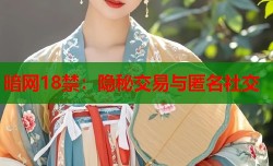 暗网18禁：隐秘交易与匿名社交