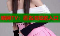 暗网TV：匿名浏览的入口