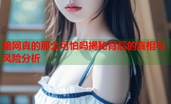 暗网真的那么可怕吗揭秘背后的真相与风险分析