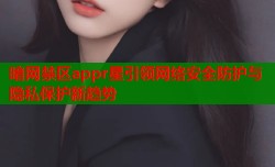 暗网禁区appr星引领网络安全防护与隐私保护新趋势