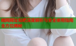 暗网网址贴吧深度解析与安全使用指南全方位揭秘