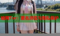暗网Tor：匿名浏览与隐私保护
