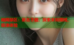 暗网禁区：匿名下载，探索未知领域，极速体验