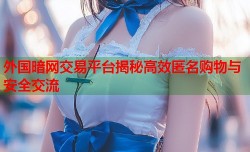 外国暗网交易平台揭秘高效匿名购物与安全交流