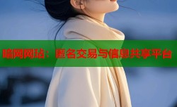 暗网网玷：匿名交易与信息共享平台