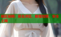 暗区禁网：匿名浏览，数据加密，安全上网