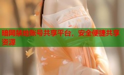 暗网禁地账号共享平台，安全便捷共享资源