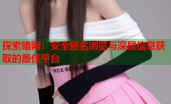 探索暗网：安全匿名浏览与深层信息获取的最佳平台