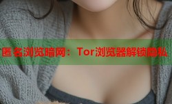 匿名浏览暗网：Tor浏览器解锁隐私