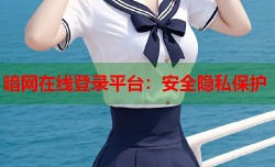 暗网在线登录平台：安全隐私保护