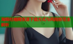 淘精社暗网资源下载方式与风险防范全解析