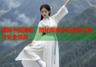 暗网中国揭秘：隐秘网络中的信息交易与安全挑战
