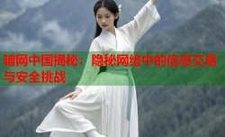 暗网中国揭秘：隐秘网络中的信息交易与安全挑战