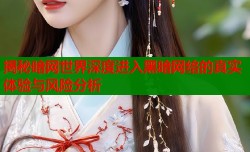 揭秘暗网世界深度进入黑暗网络的真实体验与风险分析
