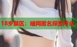 18岁禁区：暗网匿名探索平台
