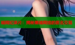 暗网纪录片：揭秘黑暗网络的匿名交易