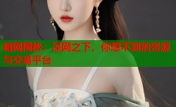 暗网揭秘：深网之下，你想不到的资源与交易平台
