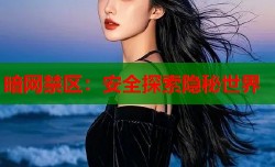 暗网禁区：安全探索隐秘世界