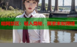 暗网禁区：轻入隐秘，探索未知领域