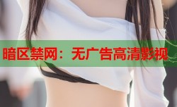 暗区禁网：无广告高清影视