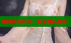 暗网匿名平台：安全隐私保护