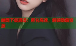 暗网下载通道：匿名高速，解锁隐藏资源