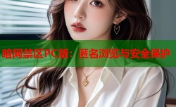 暗网禁区PC版：匿名浏览与安全保护