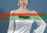 暗网禁区揭秘黑暗网络背后的秘密与风险探索