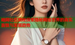 暗网社区揭秘探索隐秘网络世界的真实面貌与发展趋势